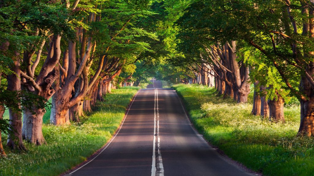 ছবি-১