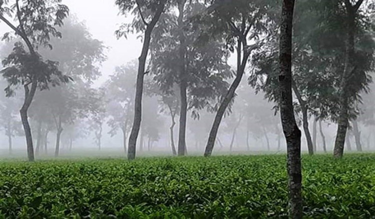 সিলেটসহ সারাদেশে শীতের তীব্রতা বাড়ছে
