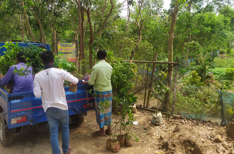 কমলগঞ্জে নার্সারীতে চারা গাছ বিক্রির ধূম
