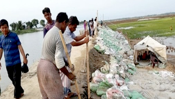 ছাতকে নাইন্দার হাওরের বাঁধে ফাটল, ঝুঁকিপুর্ণ বোরো ফসল
