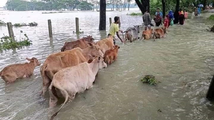 দোয়ারাবাজারে তৃতীয় দফা বন্যা