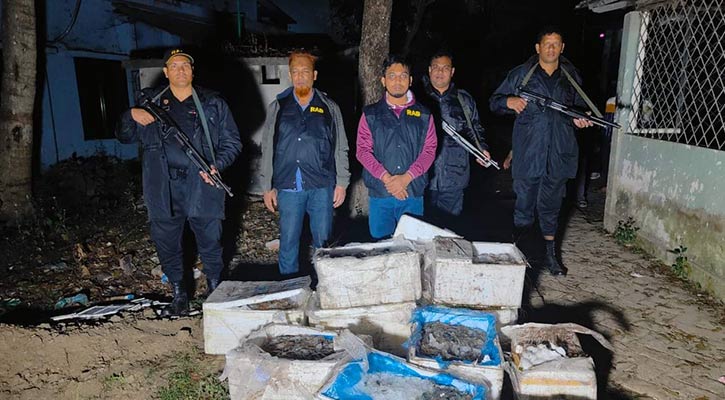 যশোরে জেলি পুশ করা ১৫ মণ চিংড়ি ধ্বংস