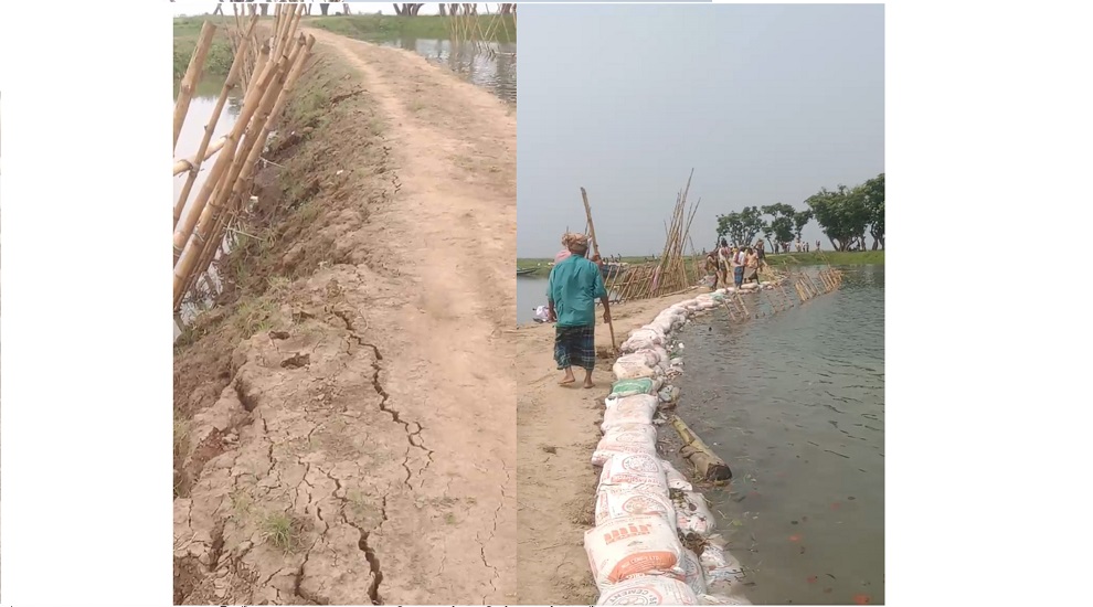 হাওরের বোরো ফসল নিয়ে কৃষকের শ ঙ্কা