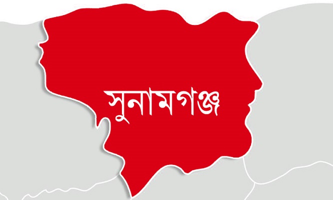 ডোবার পানিতে ভাই-বোনের মৃ ত্যু