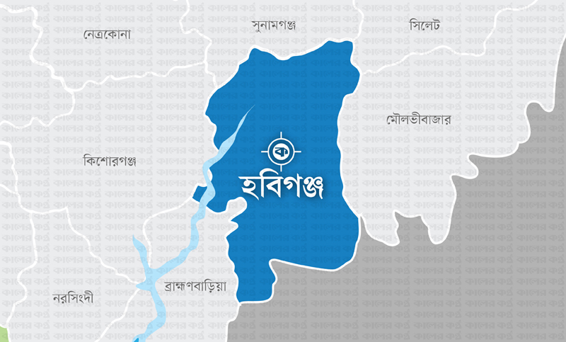 শায়েস্তাগঞ্জে অ গ্নি কা ন্ড! ১৫টি দোকান পুড়ে অর্ধ কোটি টাকার ক্ষয়ক্ষতি