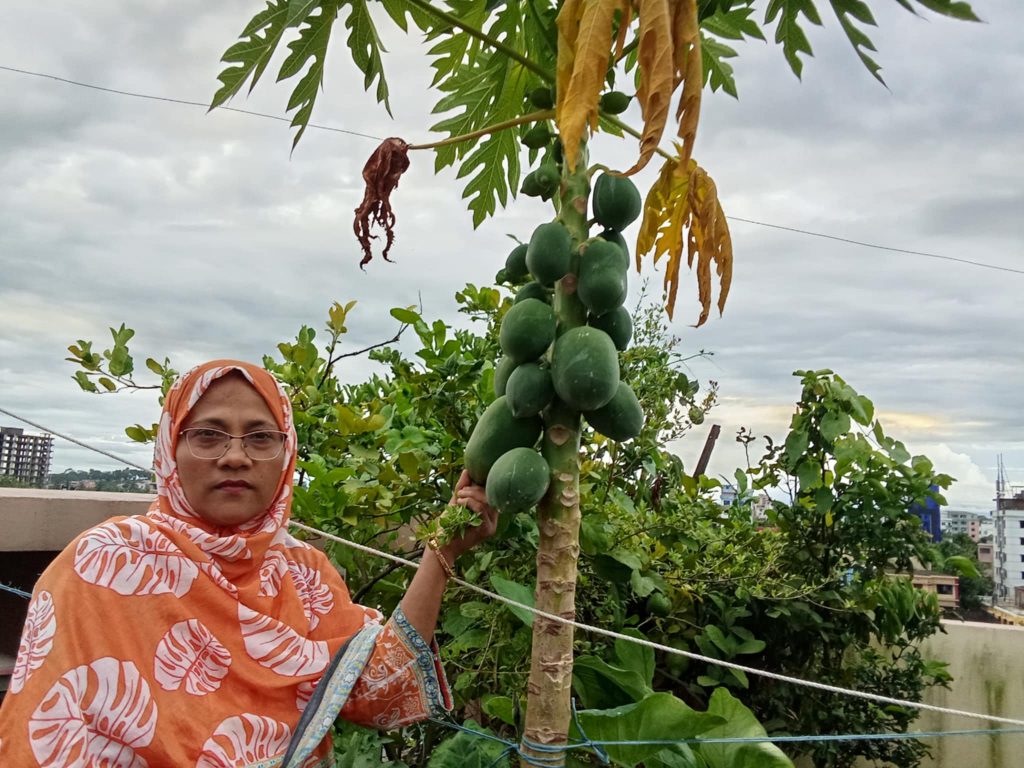নুরজাহান পারভীন চৌধুরীর ভালোবাসার একটুকরো সবুজ ছাদবাগান